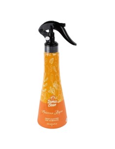 ECO PROFUMO DOMUS CLEAN MORONNAN  ARGAN 250 ML