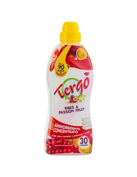 TERGO AMM. CONC. RIBES 1 LT