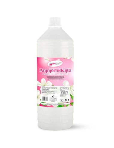 BIO HOUSE AMMORBIDENTE RISVEGLIO 1 LT
